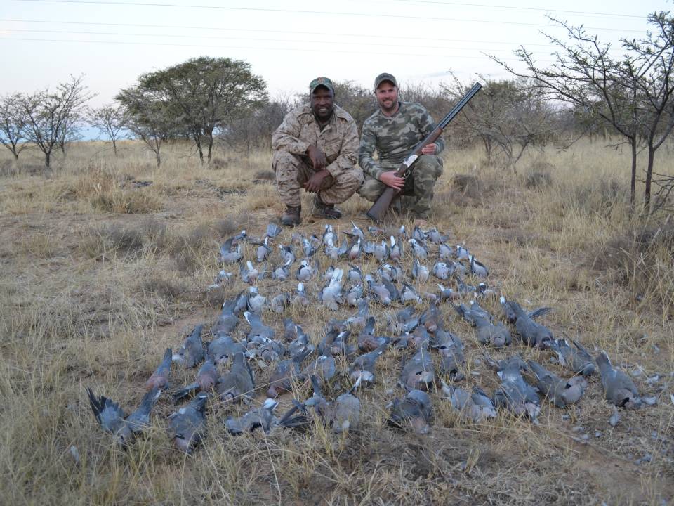 Dove Hunting Safaris Africa.jpg